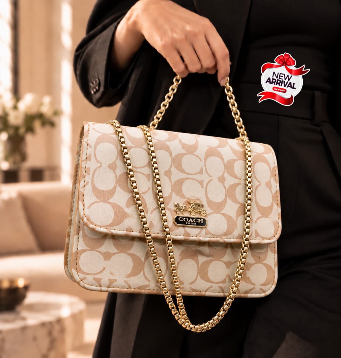 Coach & LV Cross Body Bag — view 2