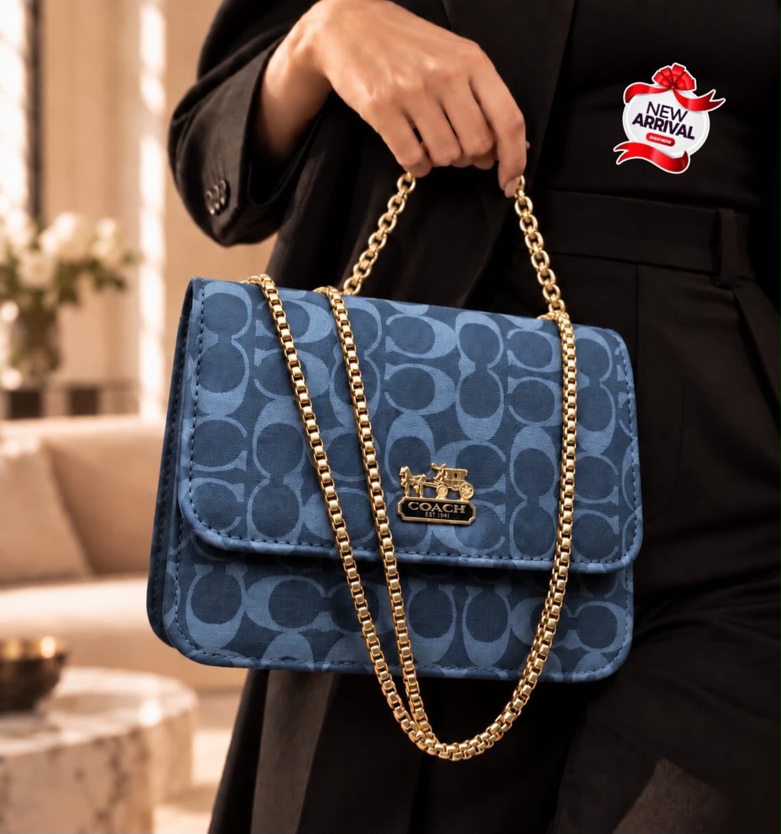 Coach & LV Cross Body Bag — view 5