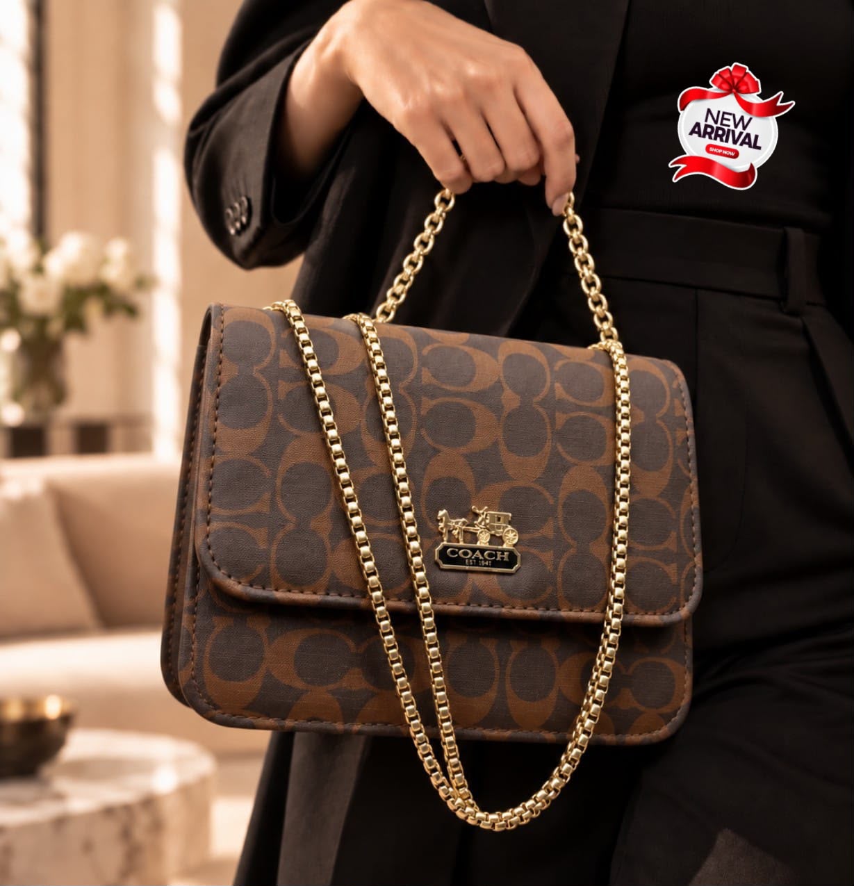 Coach & LV Cross Body Bag — view 6